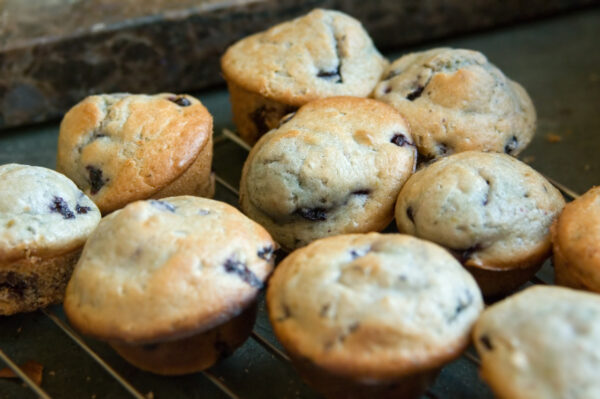 blueberry protein muffin